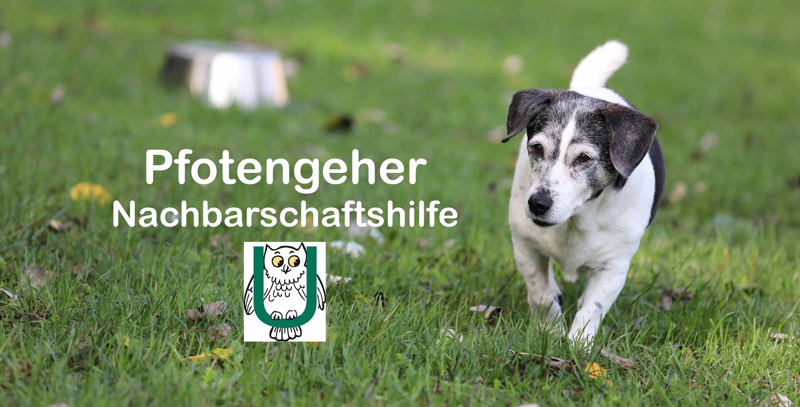 Mittig im Bild steht in weißer Schrift "Pfotengeher Nachbarschaftshilfe". Darunter ist ein grünes U mit einer Eule. Links im Bild ist ein kleiner, weiß-schwarzer Hund. 
