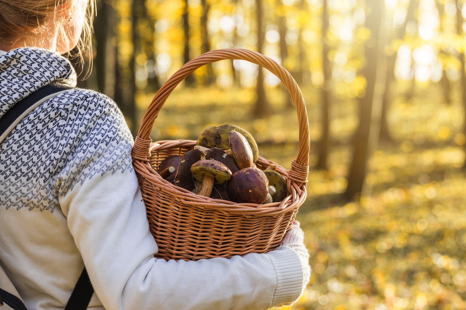 Vor herbstlichem Wald sieht man eine junge Frau, die einen Weidenkorb voll bräunlicher Pilze im Arm hält.