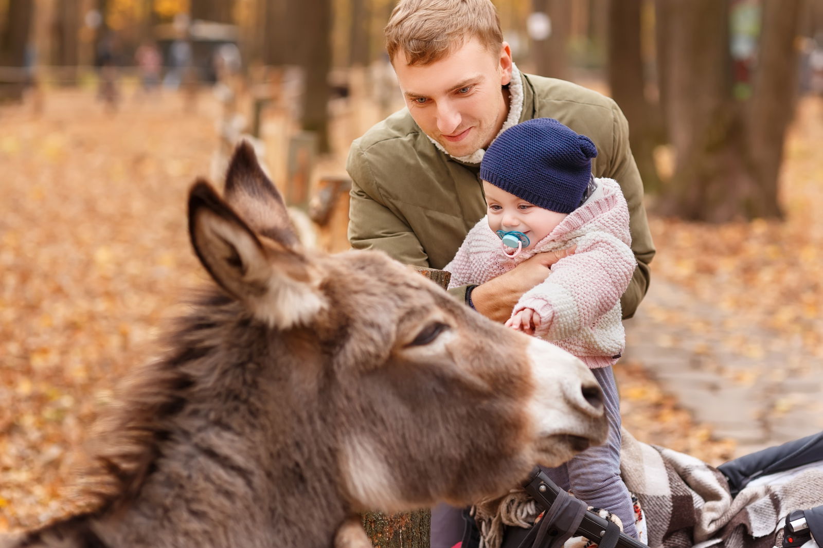 Ein Vater hält sein kleines Kind im Arm, während die beiden einen Esel streicheln.