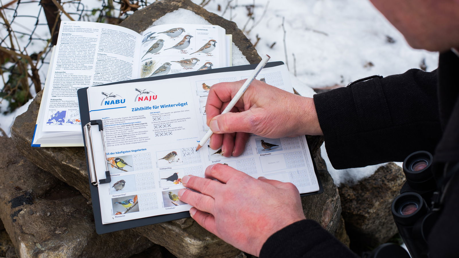 Jemand macht sich mit einem Bleistift Notizen auf einem Klemmbrett, auf dem verschiedene Vögel abgebildet sind.
