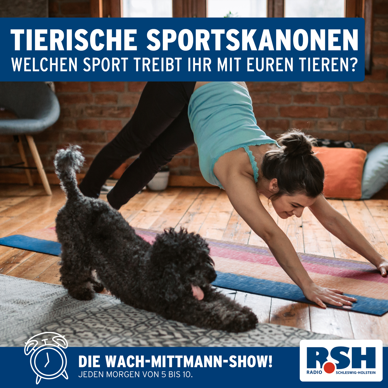 Eine Frau mit dunklen Haaren und ein kleiner, grauer Hund machen nebeneinander Yoga.