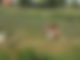 storch5