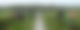 Mehrere Menschen stehen mit langen Stöcken auf einer Wiese an einem Graben.