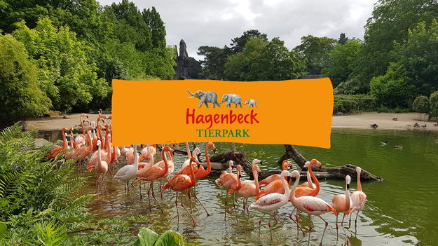 Was Kostet Parken Am Tierpark Hagenbeck www.rsh.de