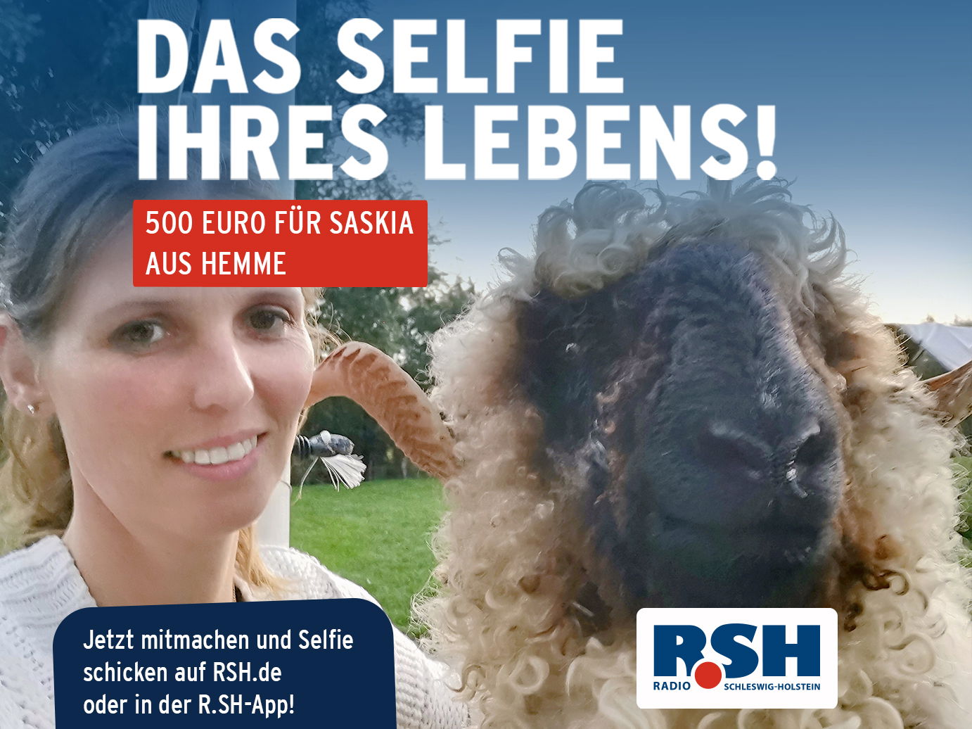 Eine Frau steht neben einem wolligen Schaf