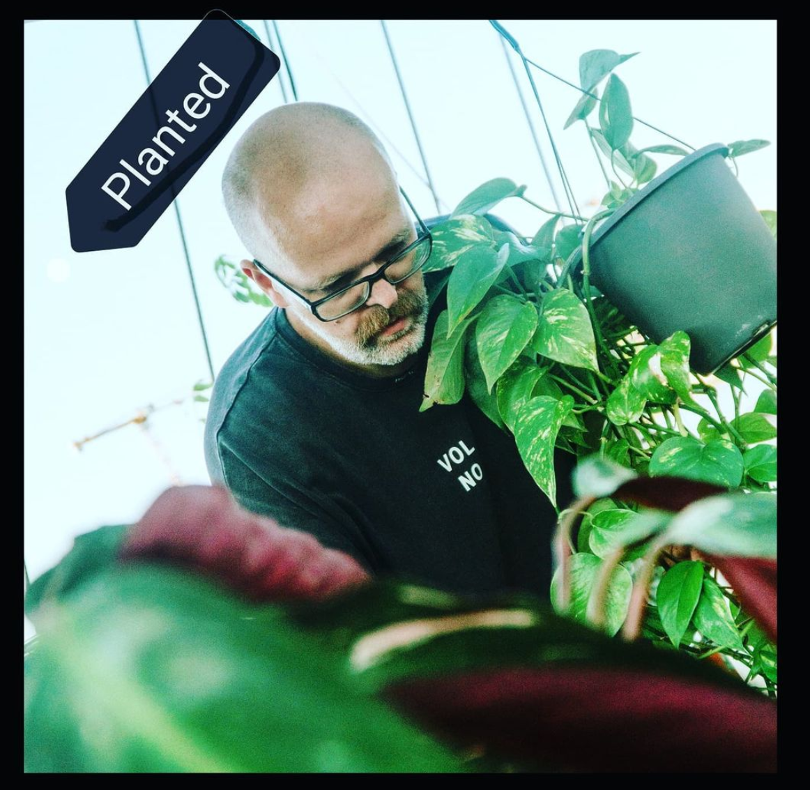 Ein glatzköpfiger Mann mit Brille steht zwischen Pflanzen und beugt sich über ein Pult.
