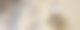 In einem ausgerollten Teig sind mehrere Sterne gestochen. Daneben liegen weitere Ausstechformen.