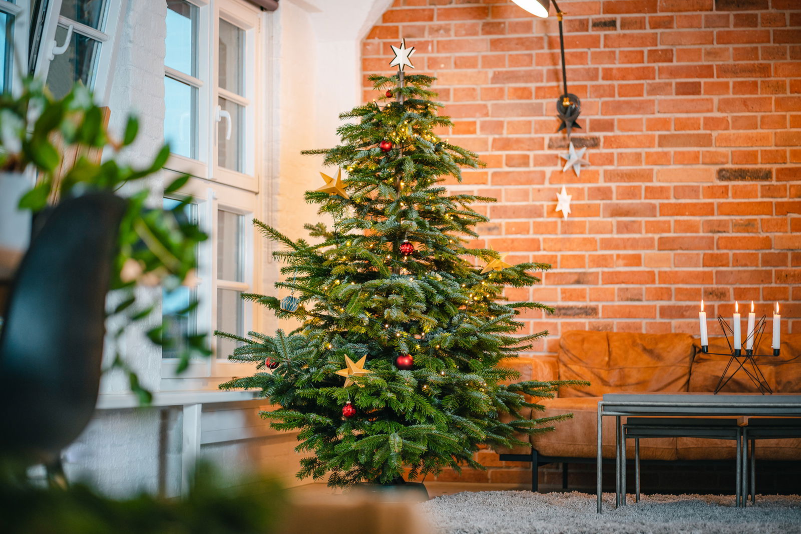 In einem Wohnzimmer steht ein geschmückter, grüner Tannenbaum.