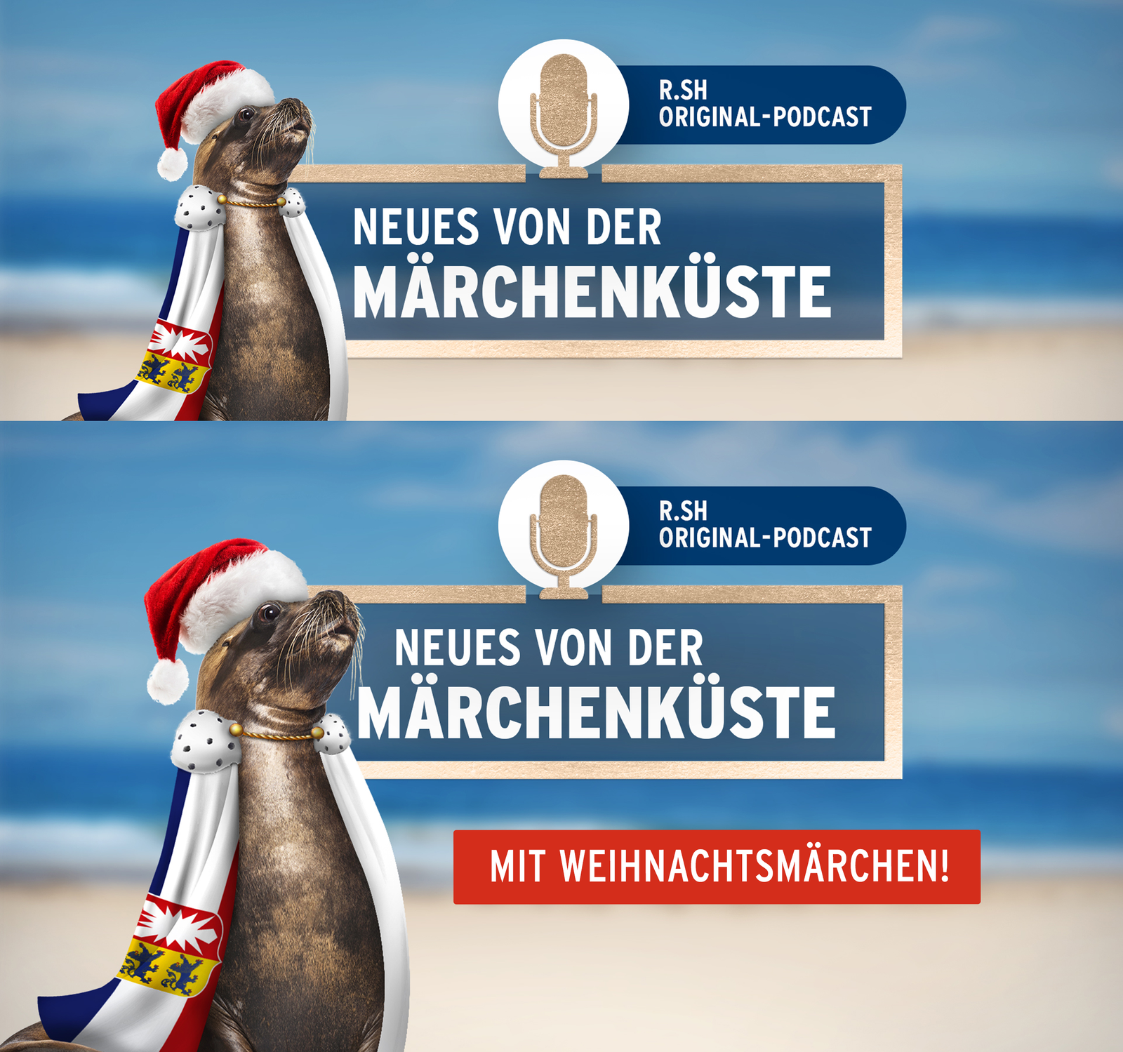 Ein Seehund mit einem Schleswig-Holstein Schal und Weihnachtsmütze sitzt am Strand. Hinter ihm ist der Name des Podcasts "Neues von der Märchenküste" zu sehen.