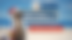 Ein Seehund mit einem Schleswig-Holstein Schal und Weihnachtsmütze sitzt am Strand. Hinter ihm ist der Name des Podcasts "Neues von der Märchenküste" zu sehen.