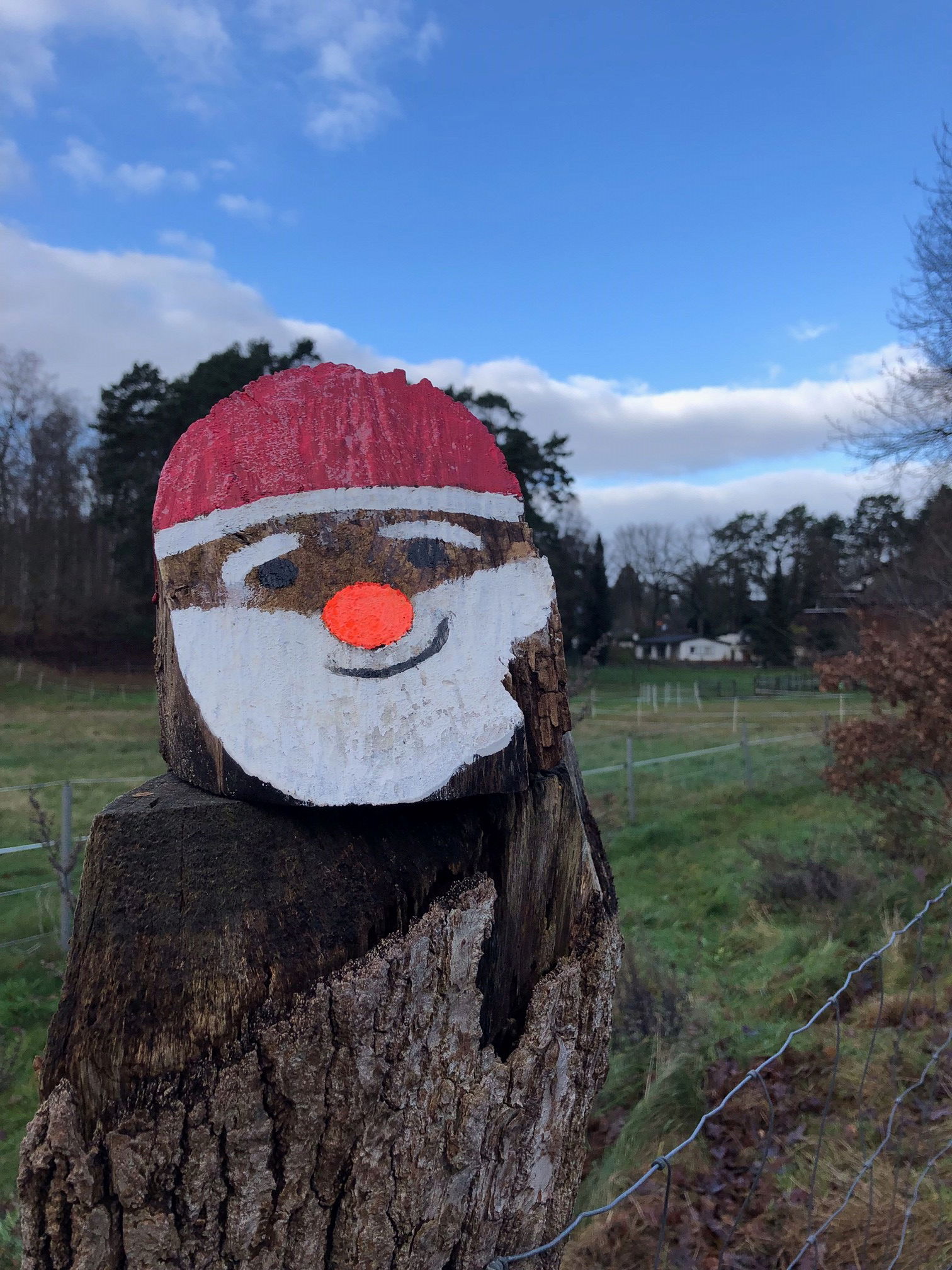  Ein Baumstumpf wurde rot und weiß angemalt und sieht aus wie ein Wichtel-Gesicht.