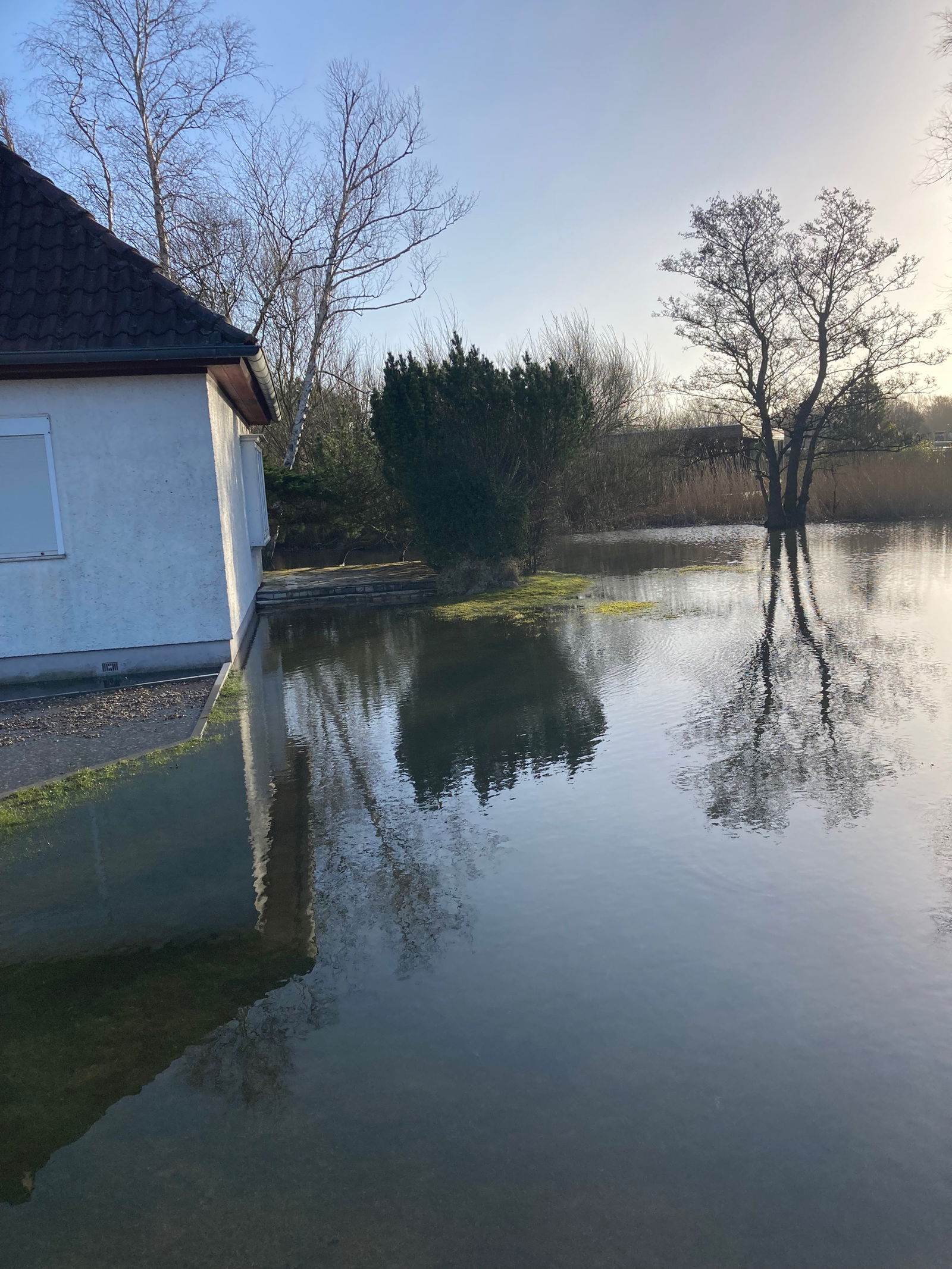 Ein Garten steht unter Wasser