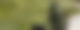 Eine Person in einem Bombenanzug kniet neben einem schwarzen Koffer. Es handelt sich um eine Bombenentschärfung.
