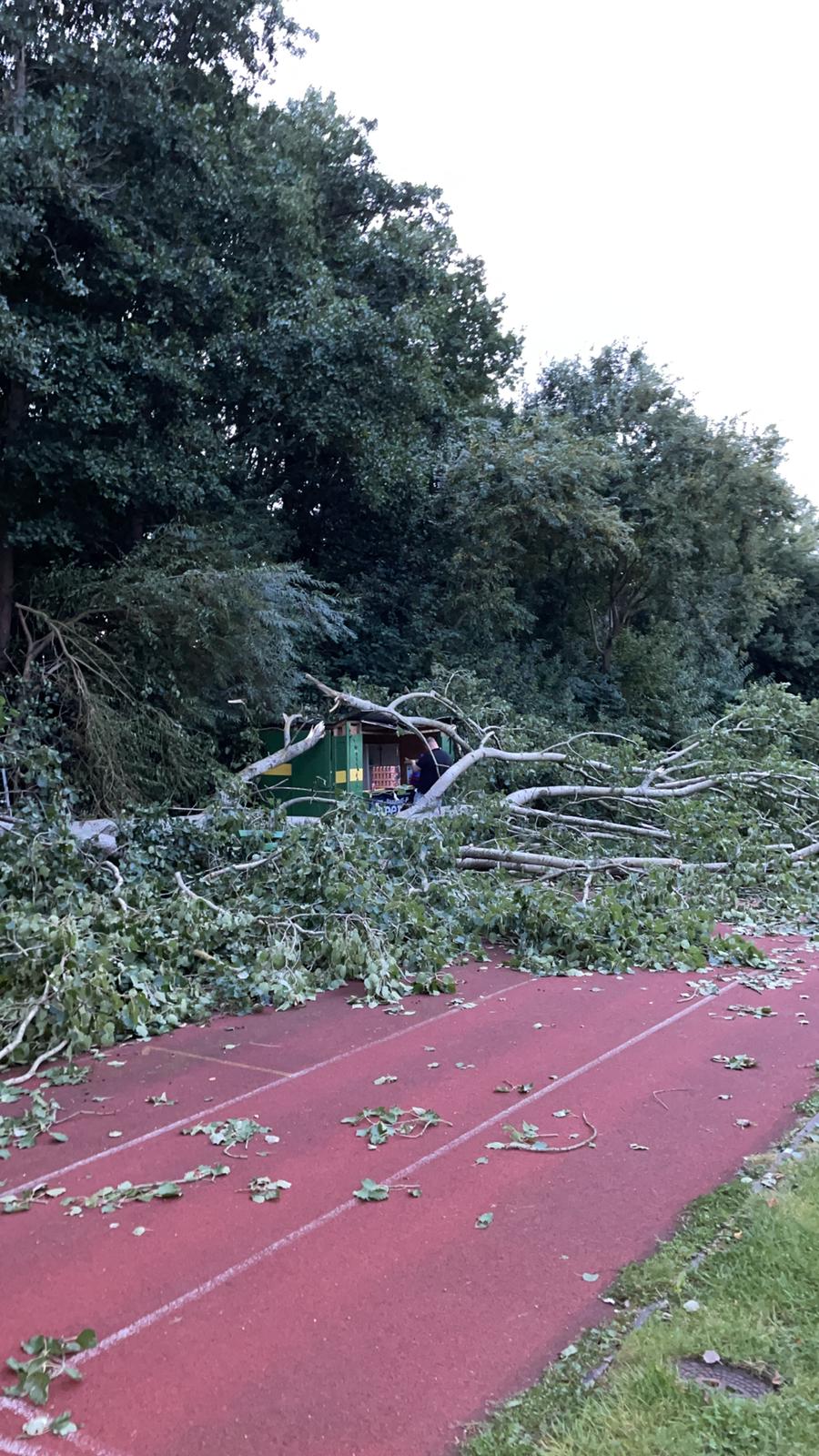 Ein Hütte liegt unter einem umgestürzten Baum.