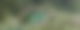 Ein Hütte liegt unter einem umgestürzten Baum.