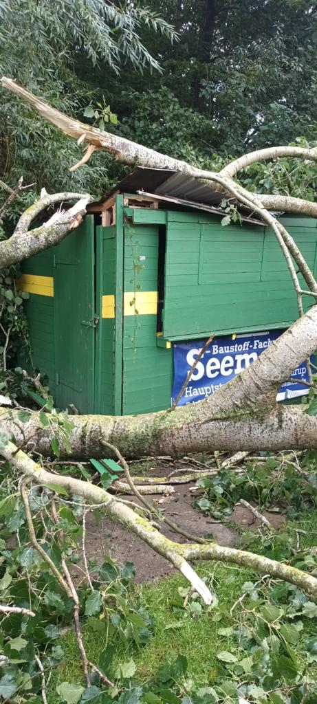 Ein Hütte liegt unter einem umgestürzten Baum.