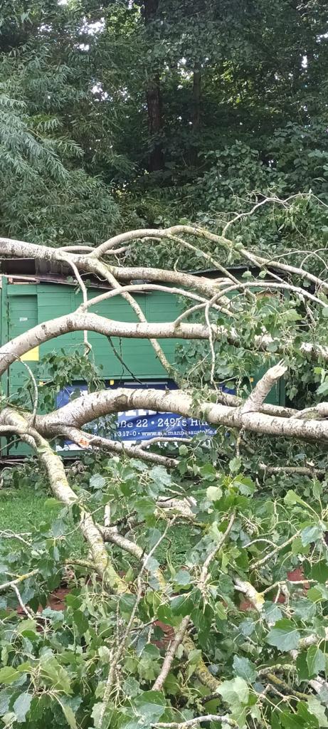 Ein Hütte liegt unter einem umgestürzten Baum.