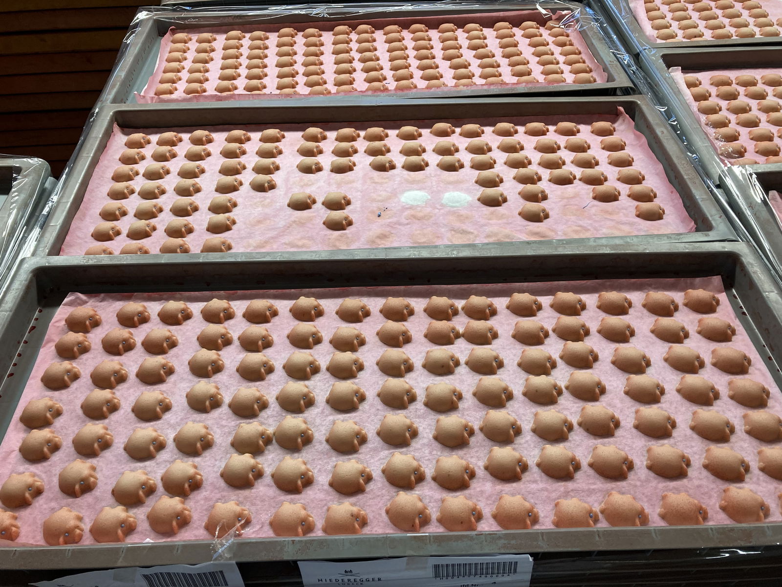 Auf mehreren Blechen liegen kleine Schweinchen.