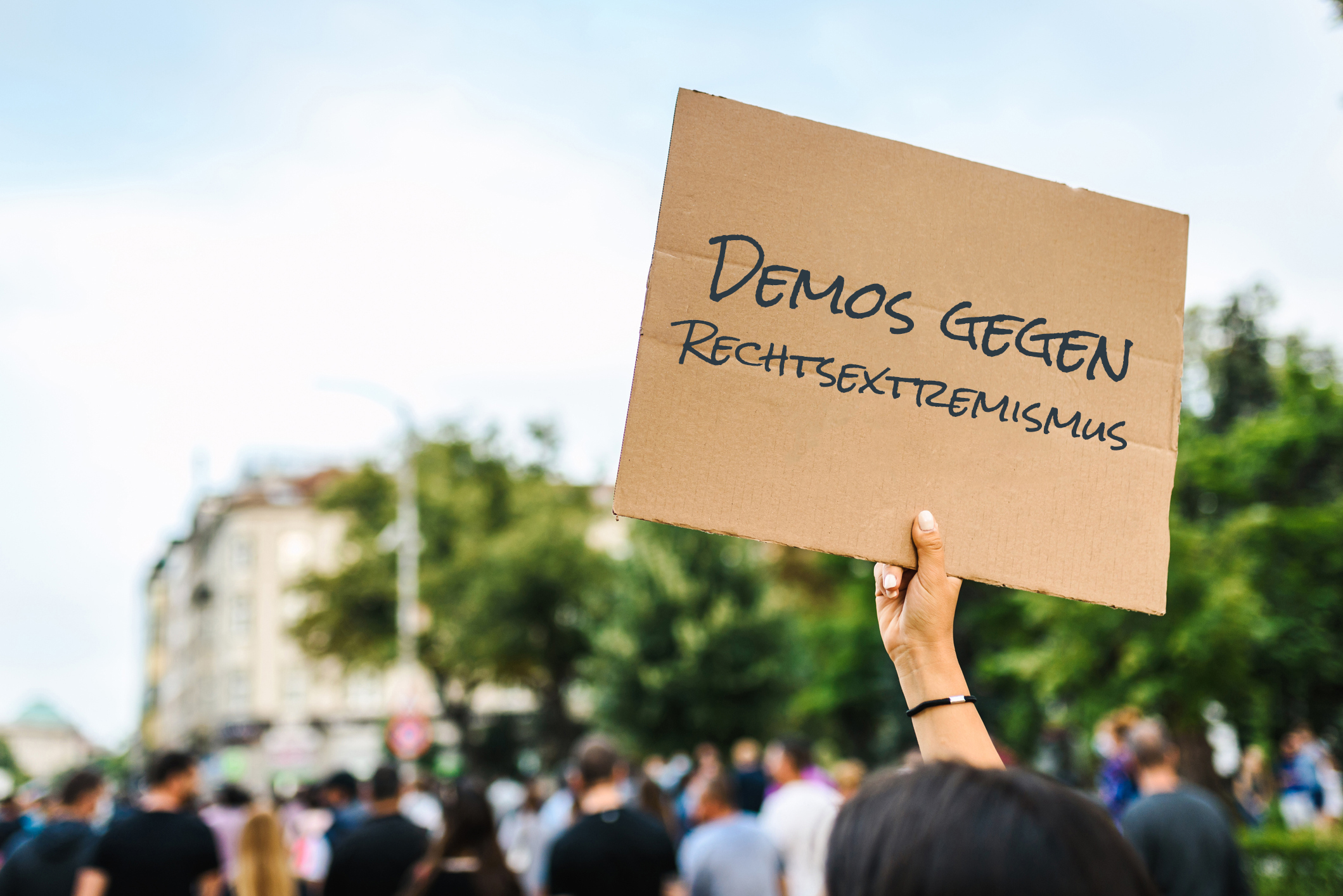 Demos Gegen Rechtsextremismus In Schleswig-Holstein | R.SH