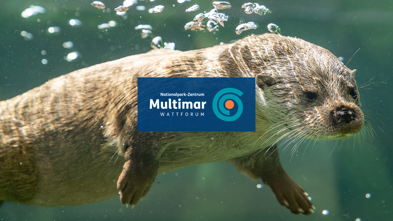 Multimar Wattforum