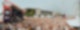 Kieler Woche 2025