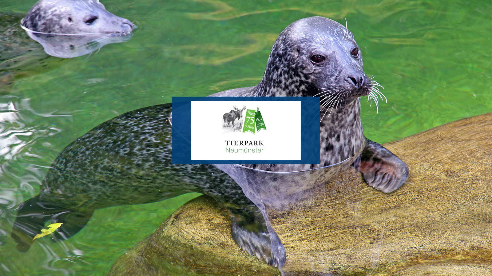 Tierpark Neumünster