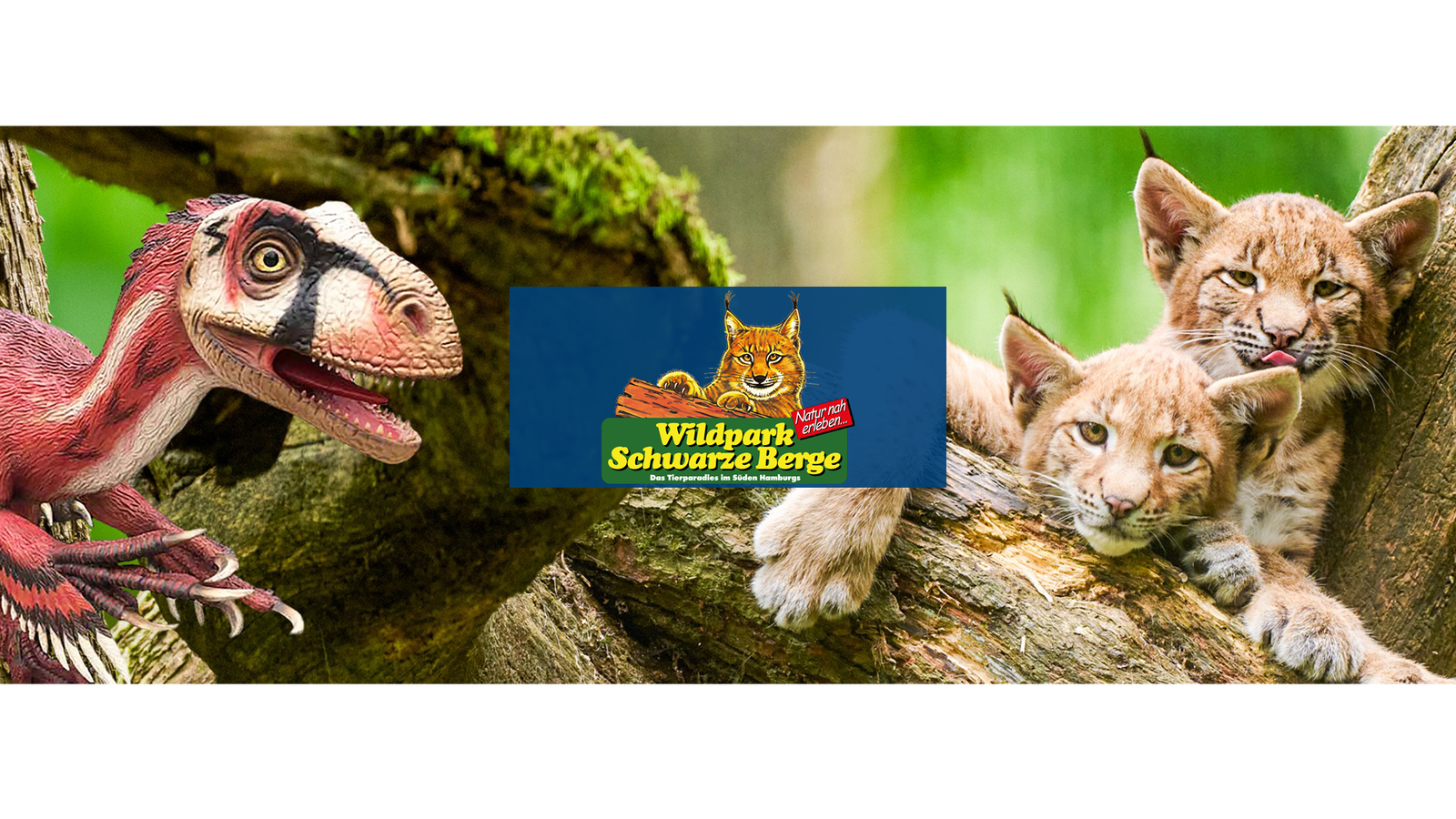 Wildpark Schwarze Berge
