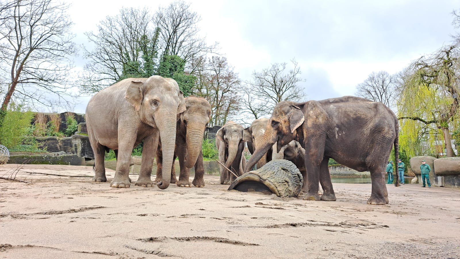 Tierpark Hagebeck