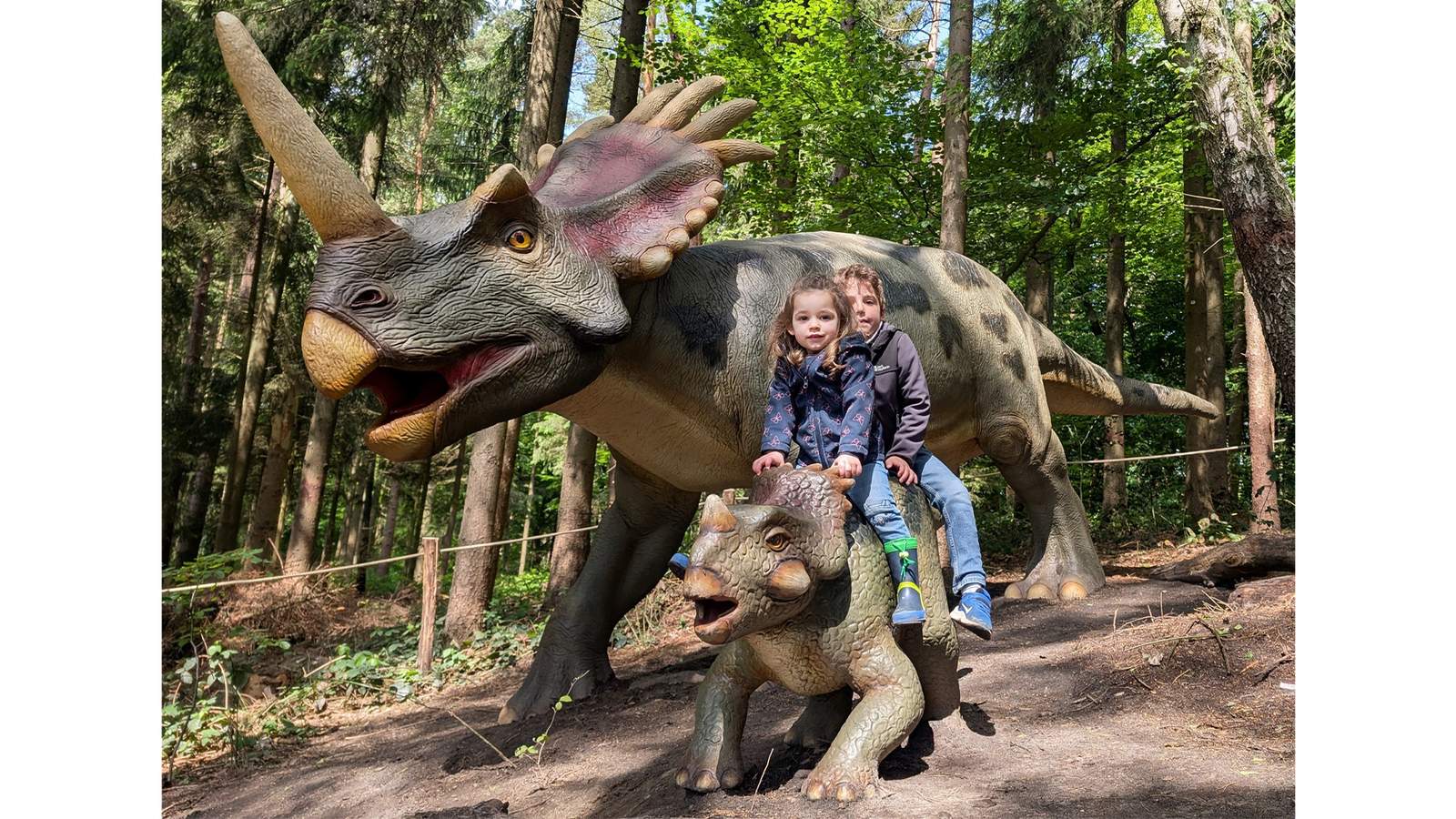 Wildpark Schwarze Berge