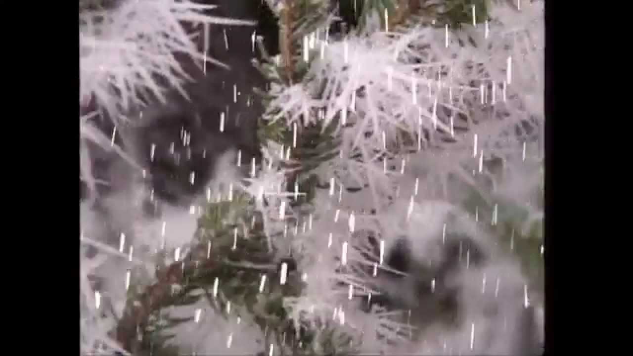 Rolf Zuckowski | Es schneit