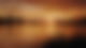 Trailer Quo Vadis Angeln 2023