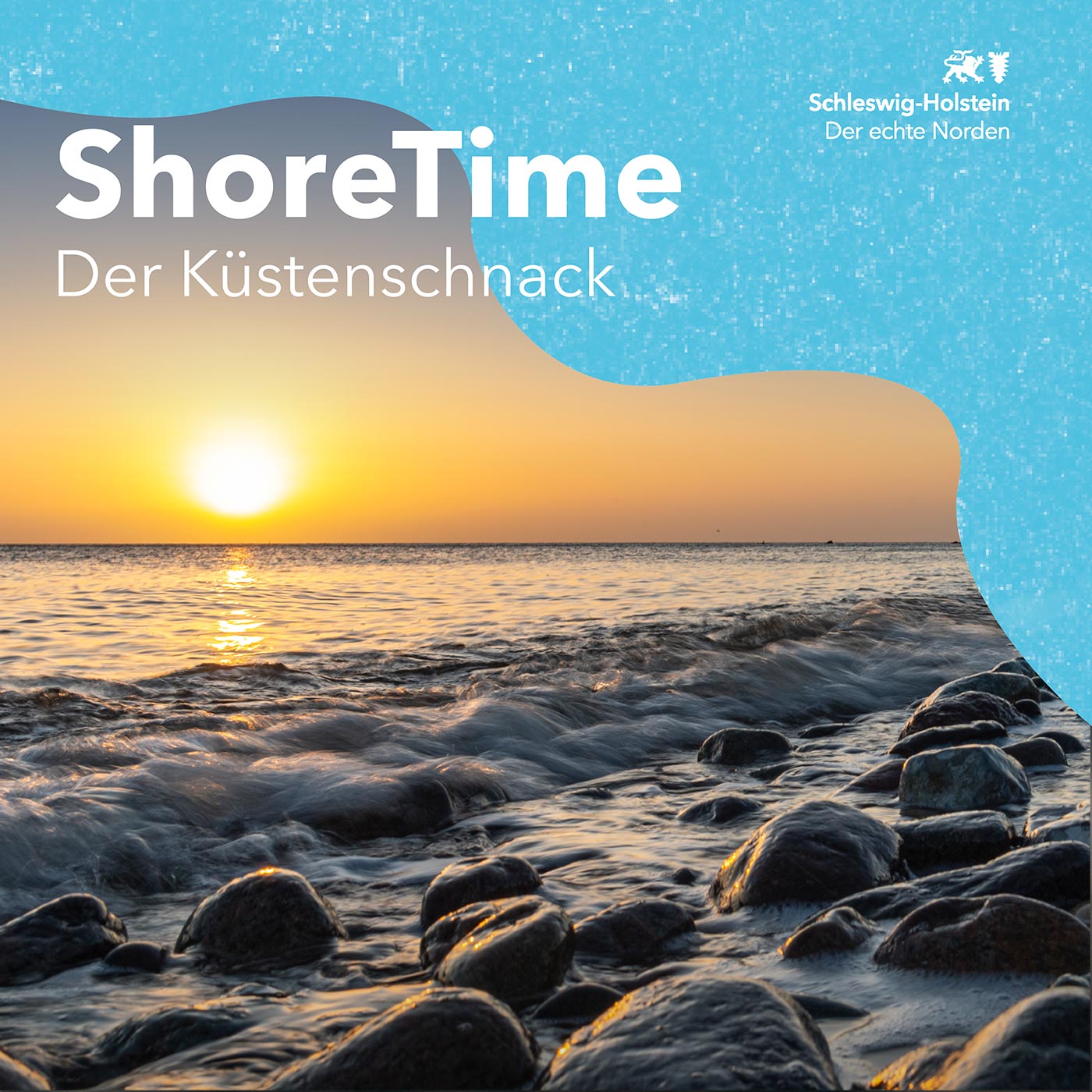 ShoreTime 19 – Auf T(a)uchfühlung mit Plattfisch, Seestern & Co