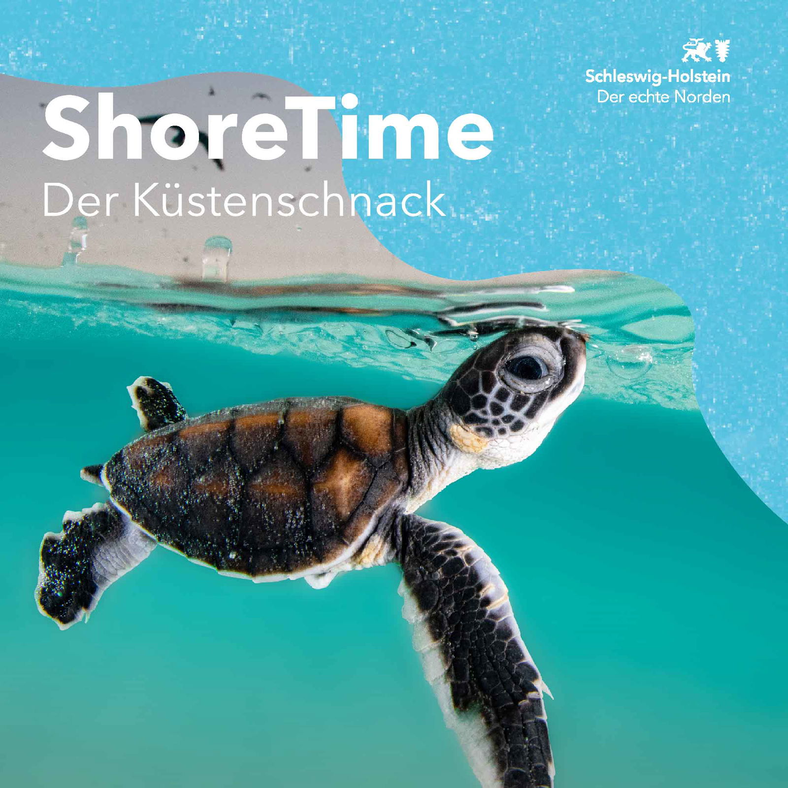 ShoreTime 22 - Das GREEN SCREEN Festival in Eckernförde