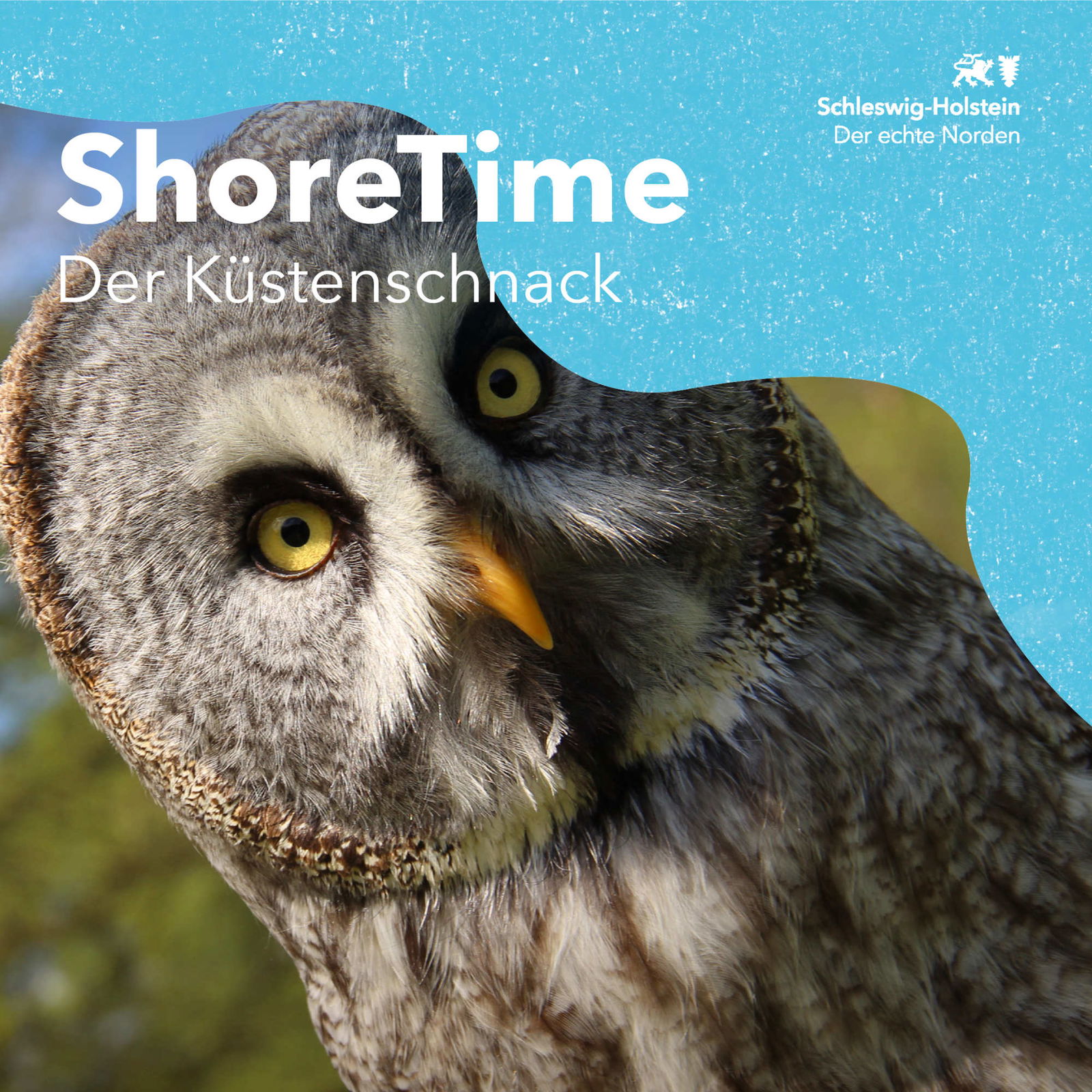 Folge 48 – Grüne Weite voller Leben