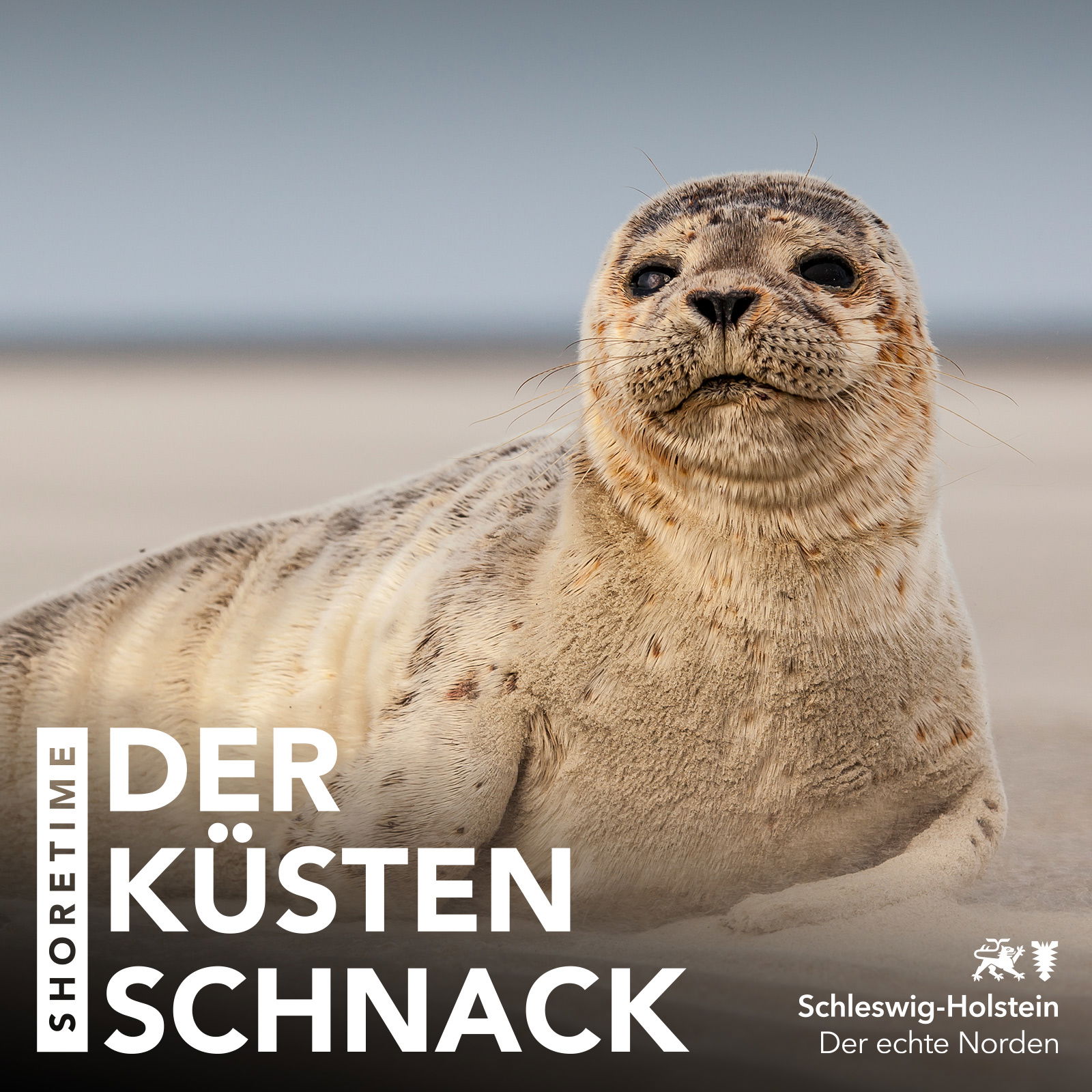 F57 | Raubtiere mit Knopfaugen