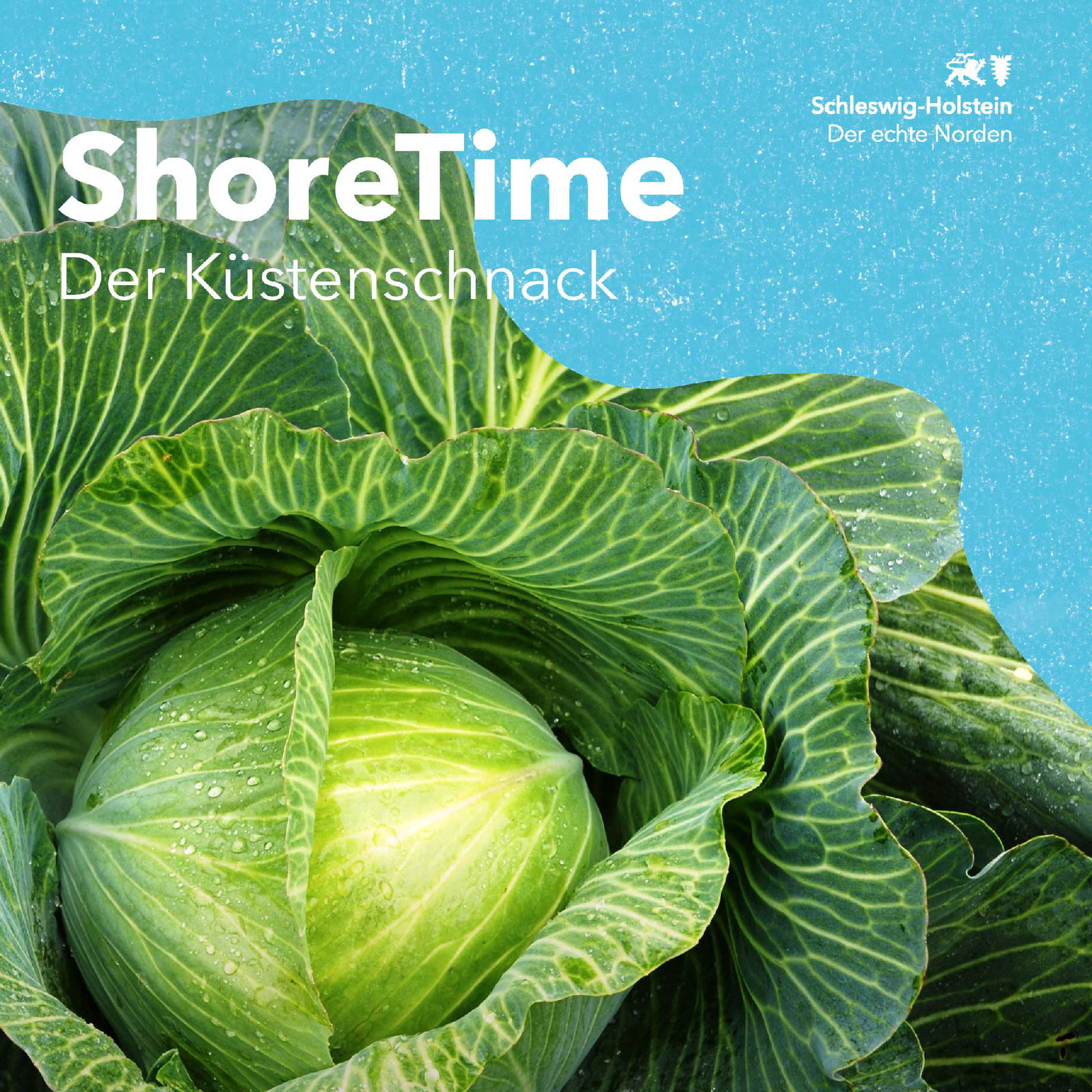 Folge 46 - Zwischen Kohl und Küste