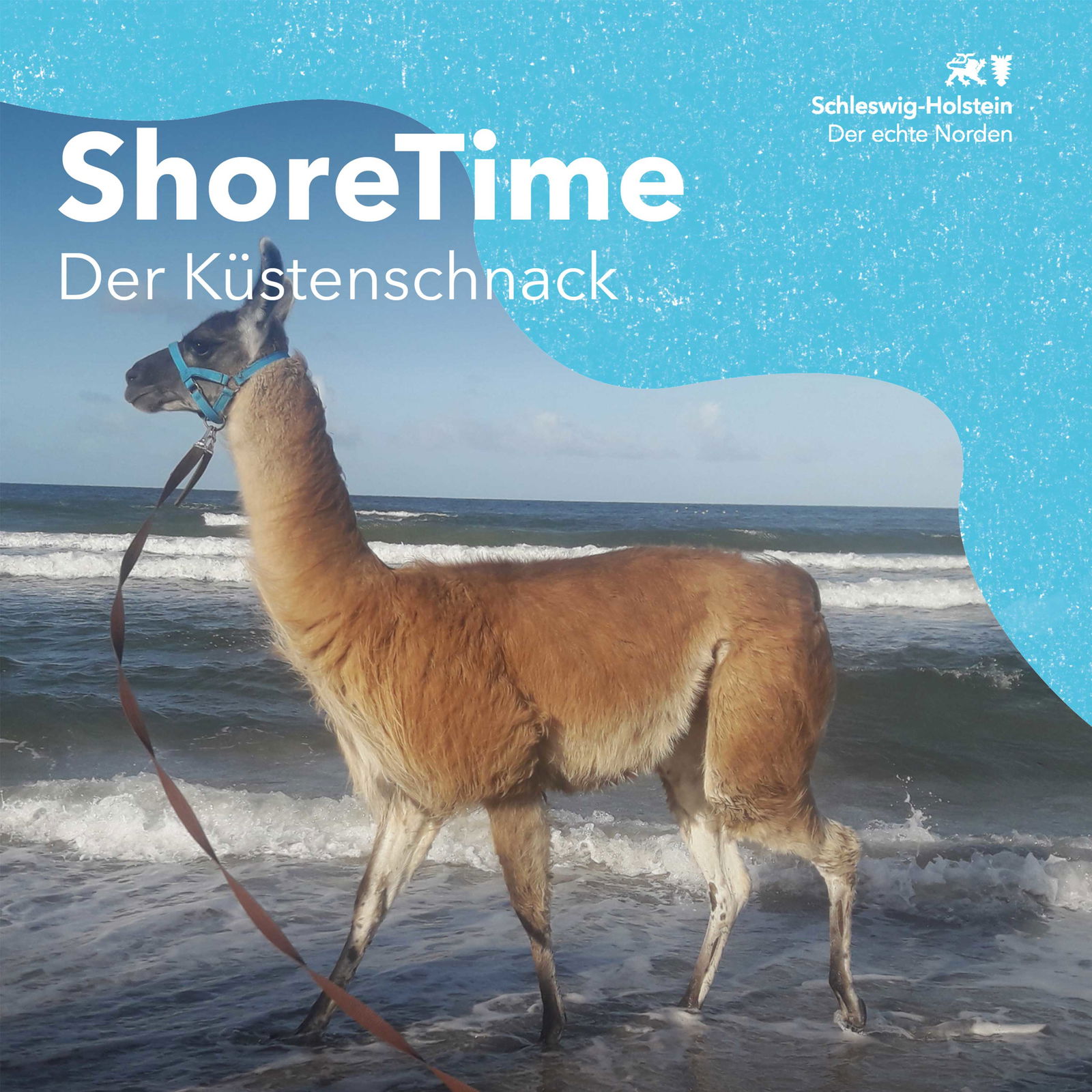 Folge 35 - Entschleunigung mit Flauschfaktor