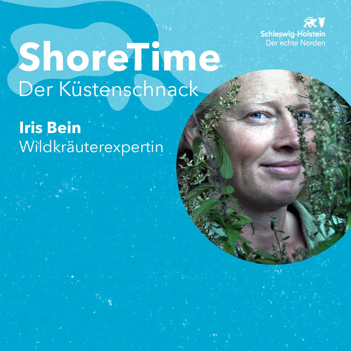 ShoreTime 05 – Grüne Schätze! – Eine Reise durch die Kräuterwelt des Nordens